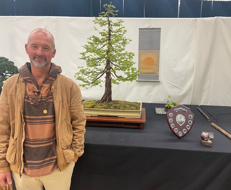 Simon and the prize-winning  dawn redwood