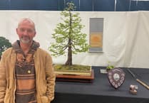 Win puts local bonsai on the national stage