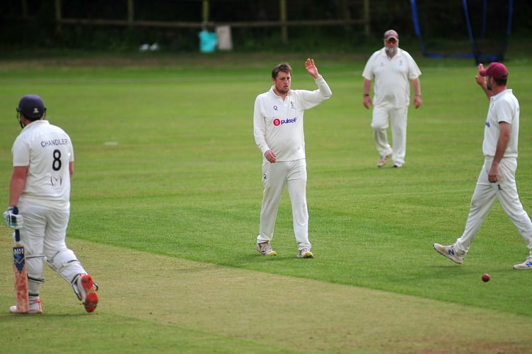 Devon Cricket League C Division West. Ipplepen 2nd XI versus Kingsbridge 1st XI. Pen's Harry Lewis celebrates after taking A Chandler's wicket