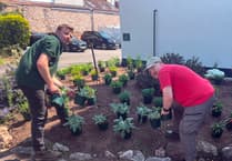See Dawlish's stunning garden transformation