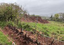 Council issue Harrington Homes with stop order after Teignmouth dumping