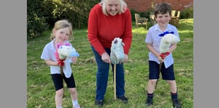 Appeal for hobby horses for County Show World Record attempt
