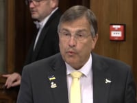 MP secures confirmation of visa extension for Ukrainians