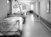 Number of sexual assaults at hospitals in last three years revealed 