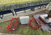 Handmade poppies adorn Teignmouth for VE Day