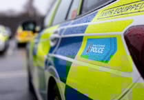 Firearms officers called as Exeter man makes threats with chainsaw