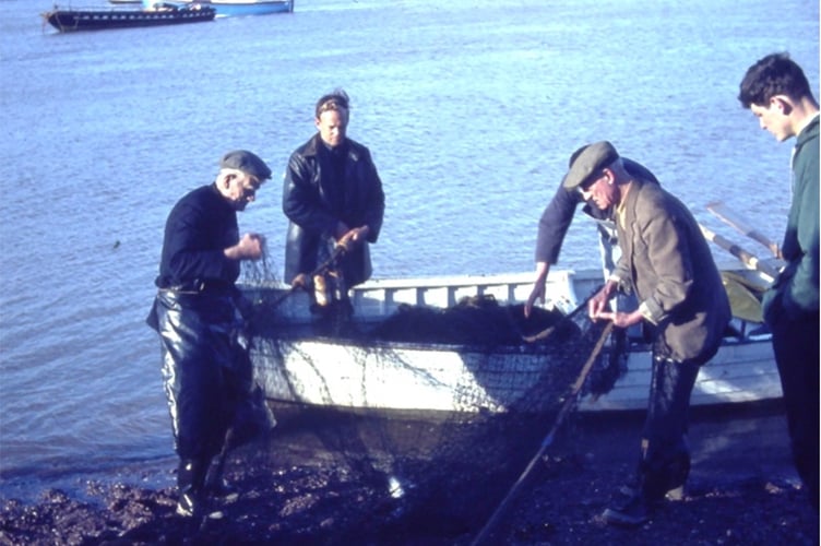 Fred Sealey's Seine fishing team on the River Teign in the late 1950s