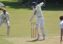 Ipplepen Cricket Club 1st XI captain admits Plymstock “deserved the win”