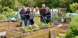 Gardening mental health scheme launched 