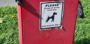 Chudleigh offers free poo bags to tackle dog mess