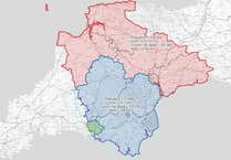 Devon councils' reform efforts questioned