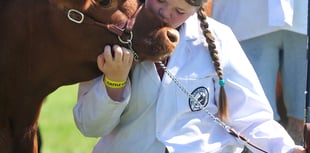 County show unveils new breed competitions