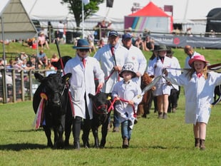 Record breaking year for Devon County Show 