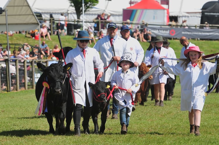 Devon County Show. Livestock Grand Parade. 
