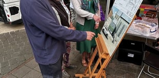 Public thumbs up for museum expansion plans