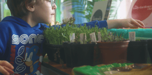 Libraries charity to receive £1.5million National Lottery funding