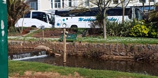 Dawlish coach parking disrupted by SWW project