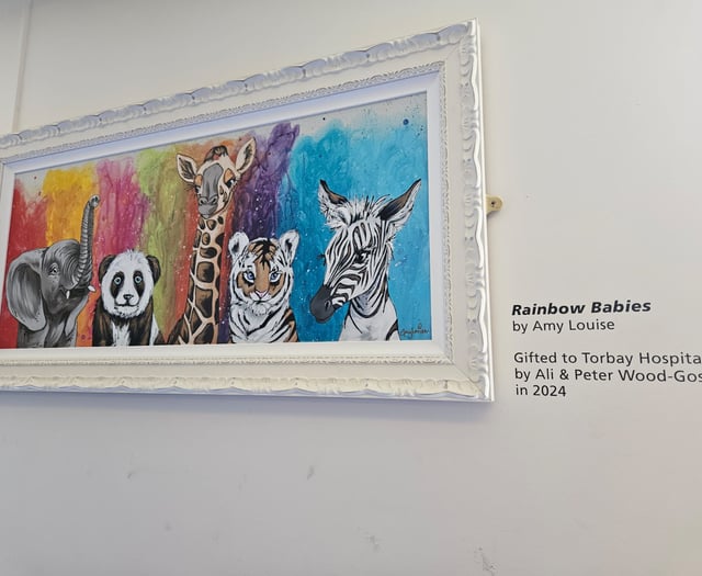 Rainbow Babies painting for Torbay Hospital
