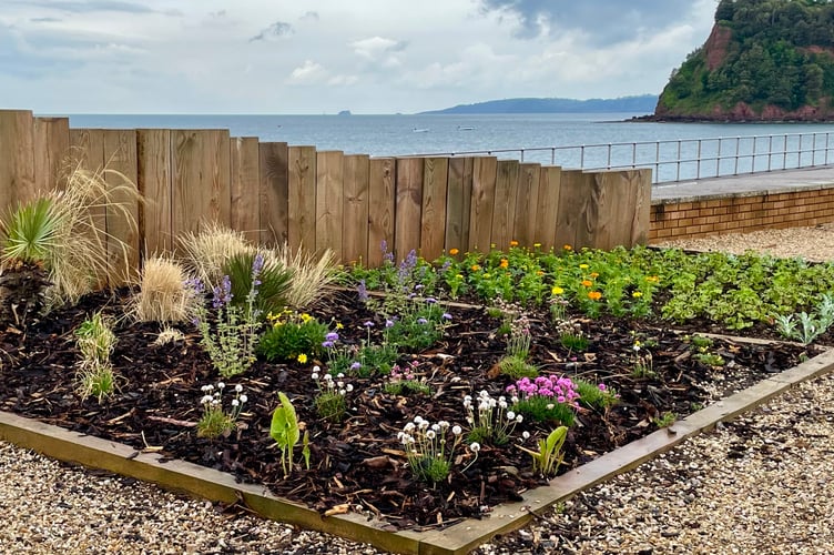 Teignmouth Seafront Flowerbeds