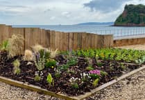 Seafront planting finally brings colour