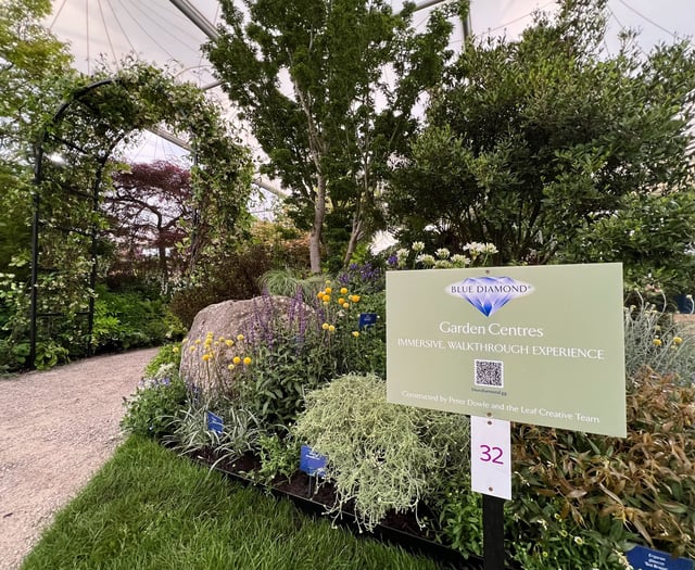 Blue Diamond wins gold at Chelsea Flower Show