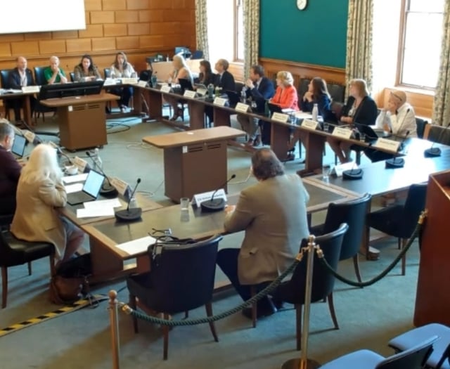 Foster carers to get council tax rebate