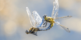 Water company supports charity's 25th anniversary photo competition