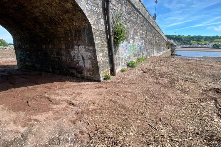 The riverbank by Shaldon Bridge after last week's clean up operation