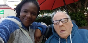 Martin's's dream visit to Dawlish swans