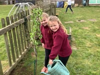 Primary schools enhance outdoor spaces with new trees