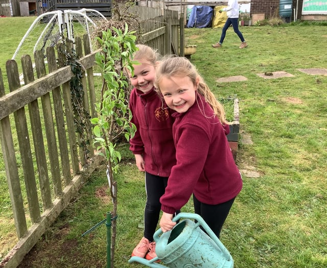 Primary schools enhance outdoor spaces with new trees