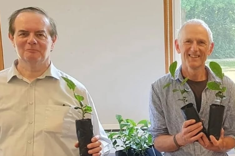 Professor Nigel Mason OBE and Jo Harper with the Camellia Sinensis seedlings that will be used in the research.
