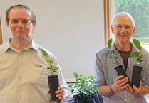 Tea-nbridge space brew