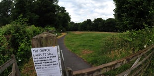 Council backs move to save popular green space 
