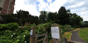 First steps in bid to save green space