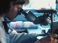 Changes during brain development may hold key to autism