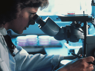 University secures grant to investigate eczema prevention 