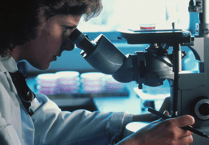 Early changes during brain development may hold key to autism, research suggests