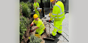 Golden Lion Square gets some TLC
