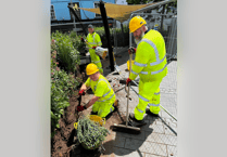 Newton Abbot’s Golden Lion Square gets some TLC