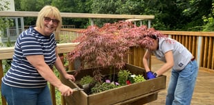 Rotary Club's Mega Quiz returns