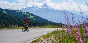 Reliable Robin excels in Europe