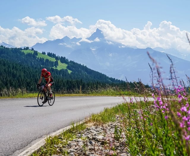 Reliable Robin excels in Europe