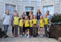Parliament of Brownies takes on town council