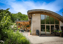 Celebrating 20 Years of Riverford Field Kitchen