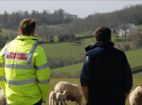 Farming family plead guilty to animal welfare offences