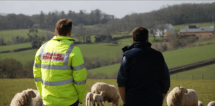 Farming family plead guilty to animal welfare offences