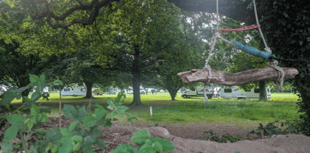 Travellers told to leave park