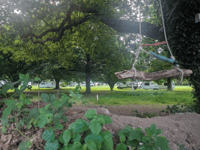 Travellers told to leave park