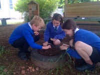 School children plant wildflowers